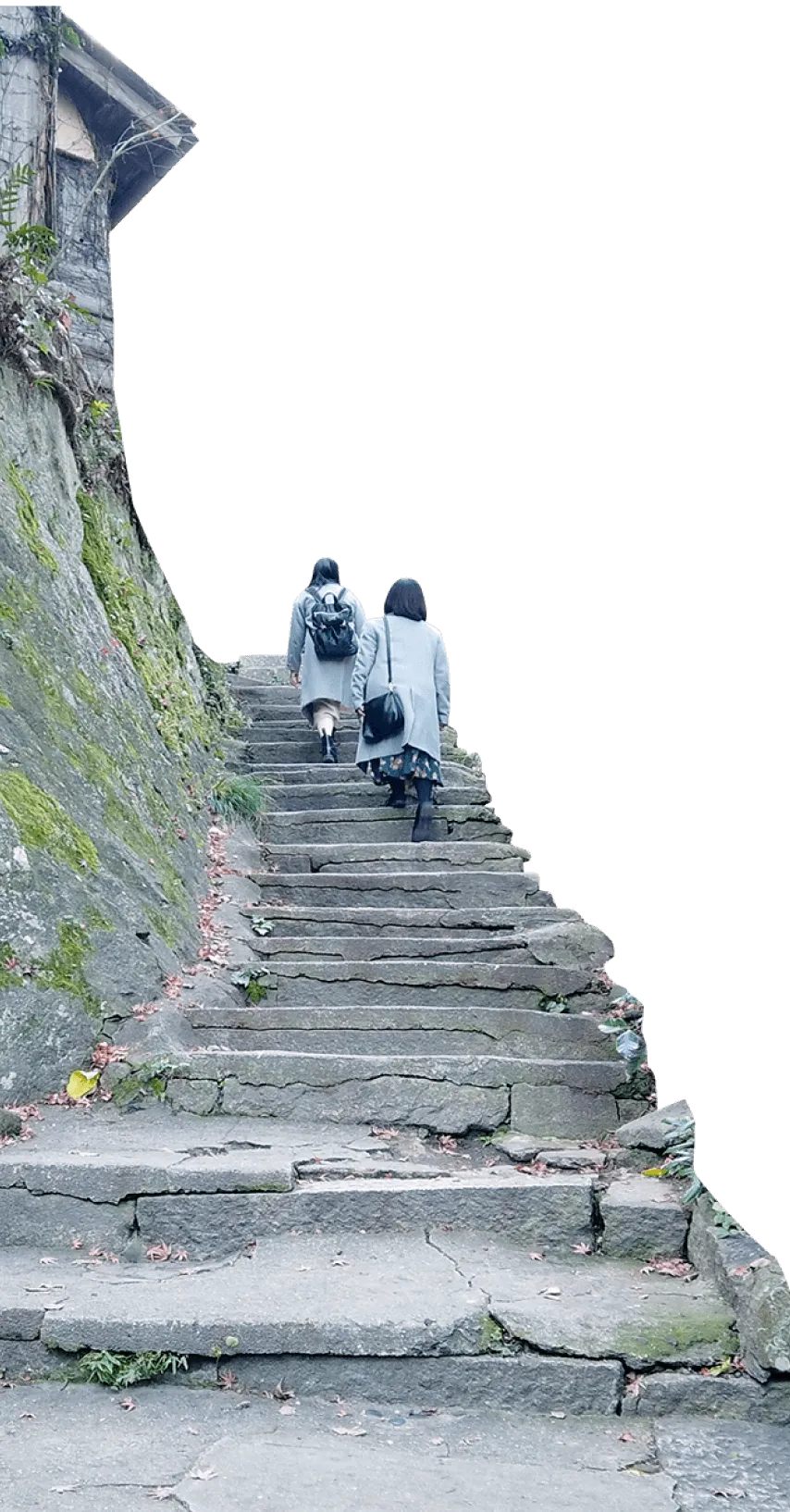 階段を登る女子学生２人の後ろ姿