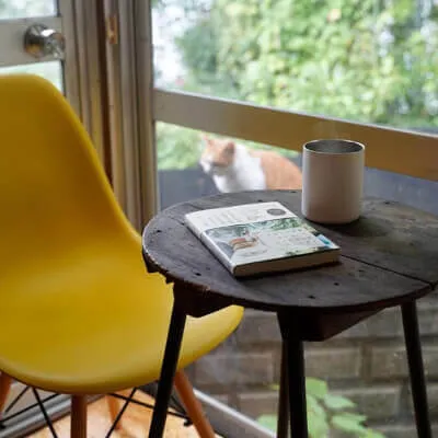 喫茶店の窓際の席と猫